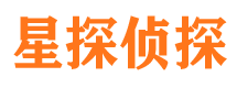 巴马市侦探公司